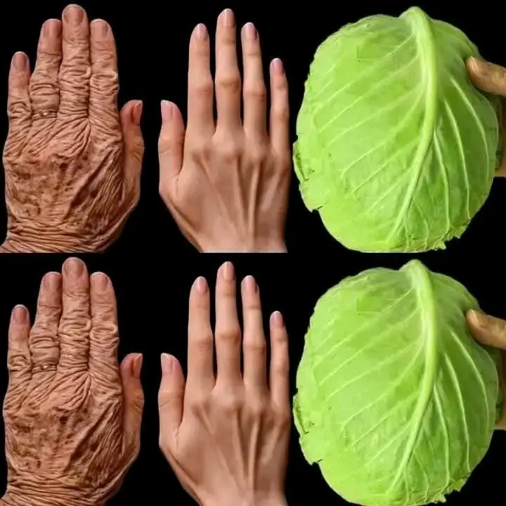 The Secret of Cabbage Leaves: A Natural Remedy for Joint Comfort