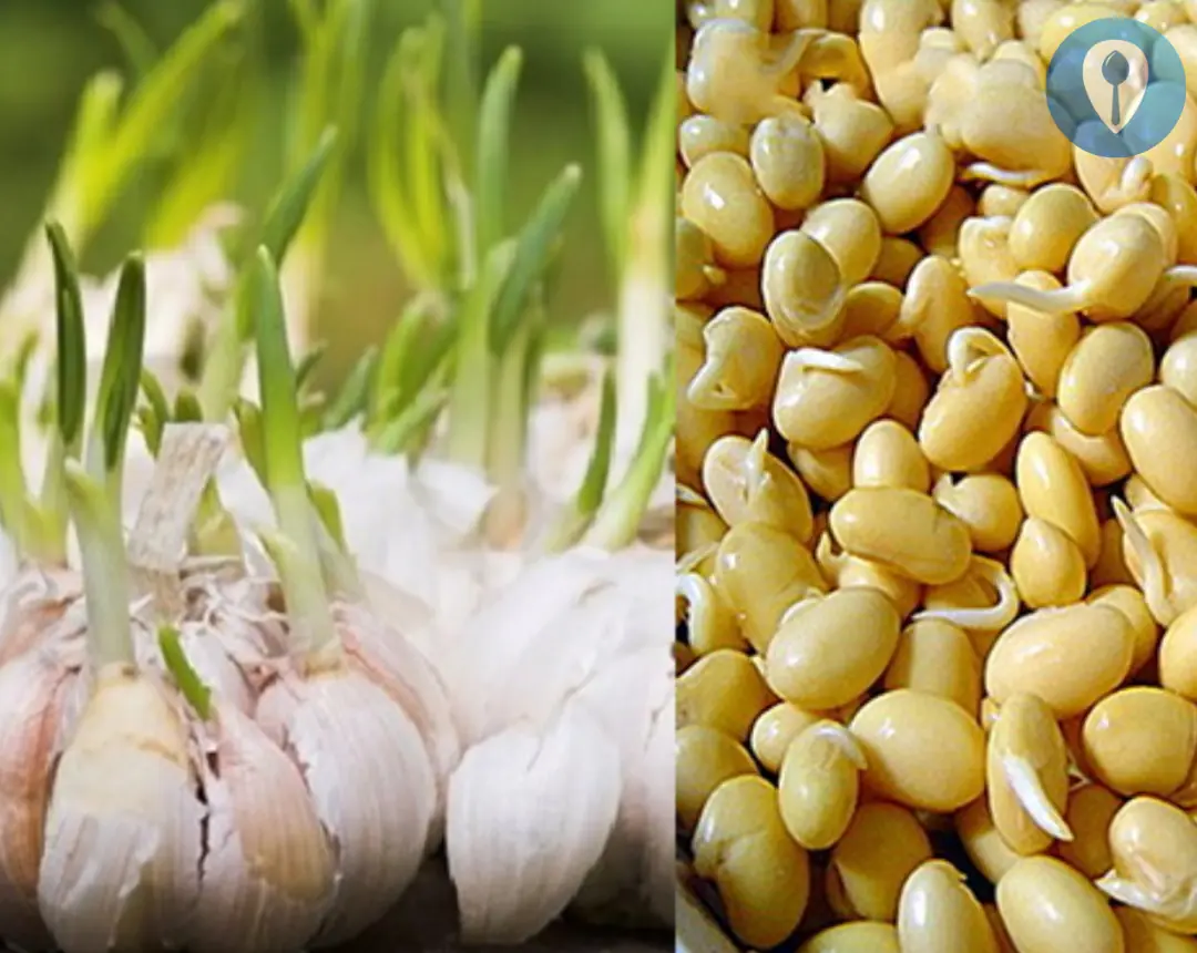 4 sprouted foods that are "more precious than gold" and should not be thrown away