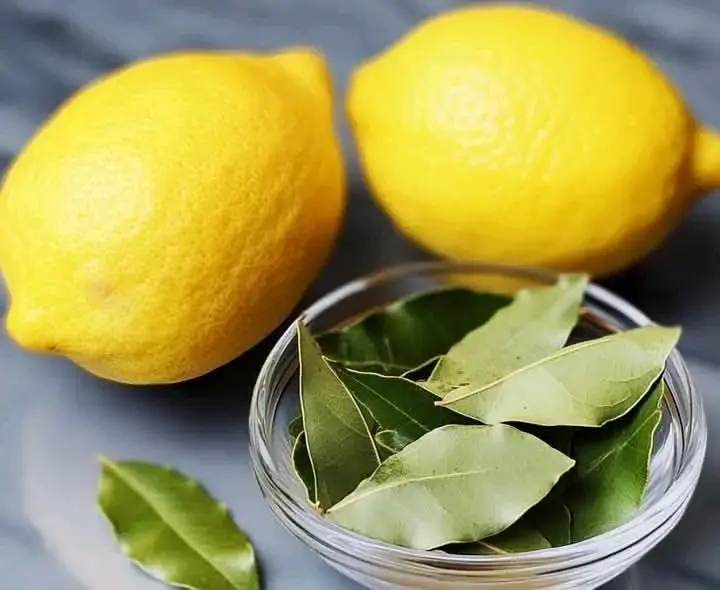 Homemade Cough Syrup with Bay Leaves: Cleanse the Lungs and Calm the Cough