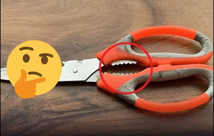 We often ignore this part when using scis.sors