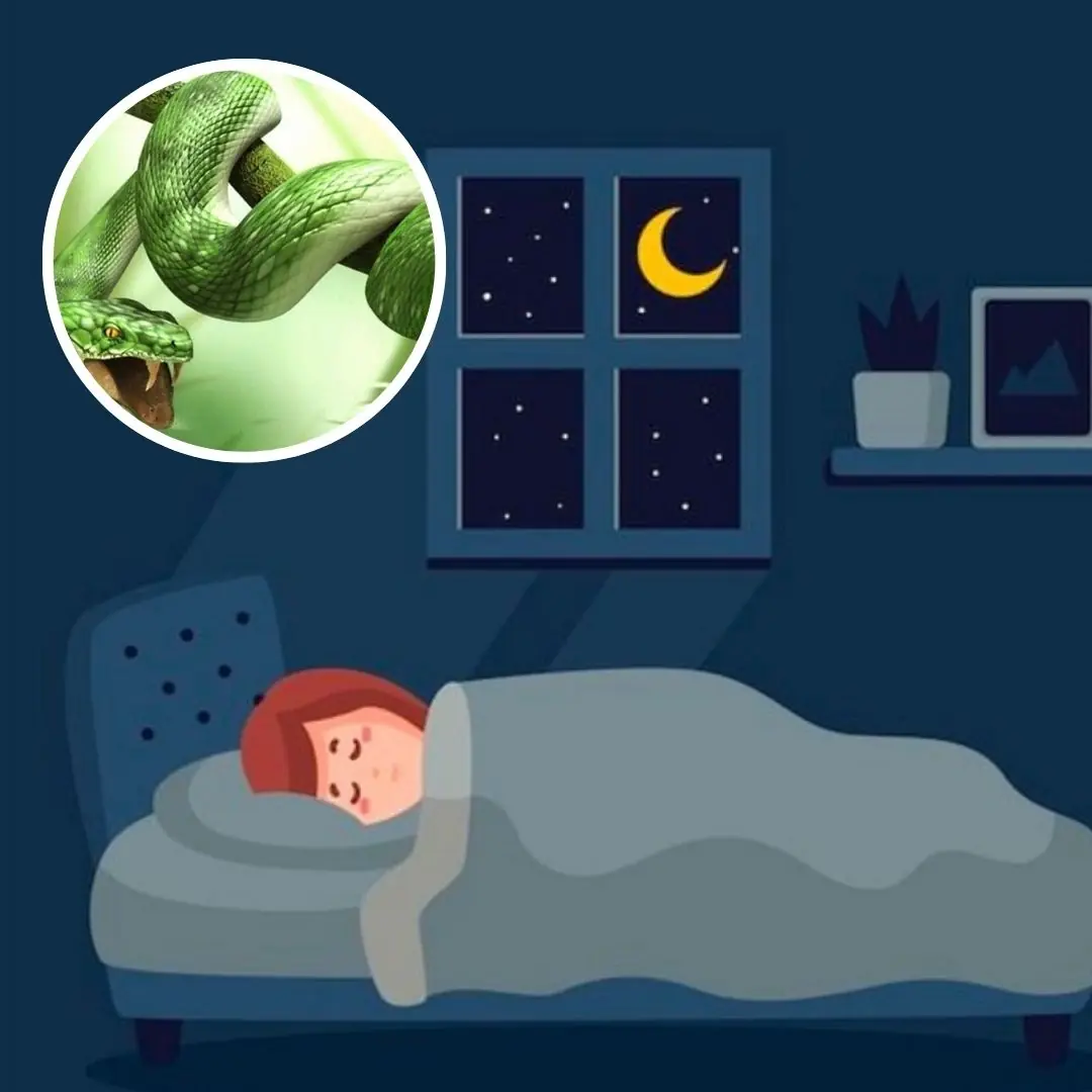 Expert in decoding dreams about snakes