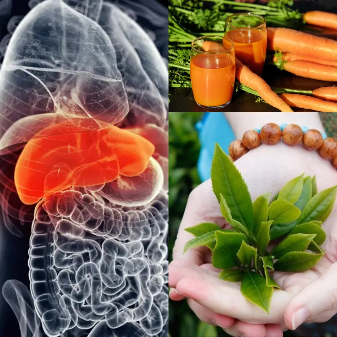 9 drinks that can naturally reduce liver fat in just 2 weeks