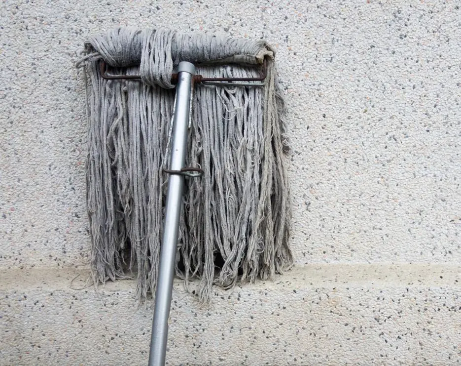 4 Household Items That Are Hidden Dirt Traps — Used Daily, and One’s Dirtier Than Your Toilet!