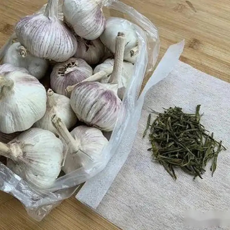 Today I Just Discovered 3 Incredibly Easy Garlic Storage Tips—Garlic Stays Fresh All Year Without Rotting