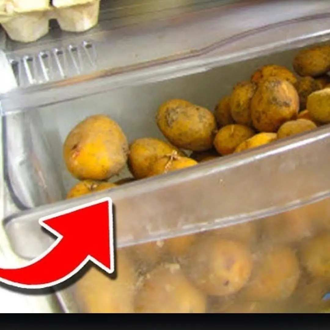 Top 20 Foods that should not be kept in the refrigerator for too long
