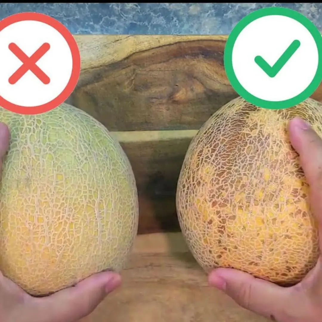 How to pick a sweet and juicy cantaloupe melon