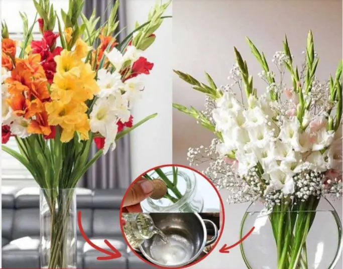 Tips to keep your flowers fresh
