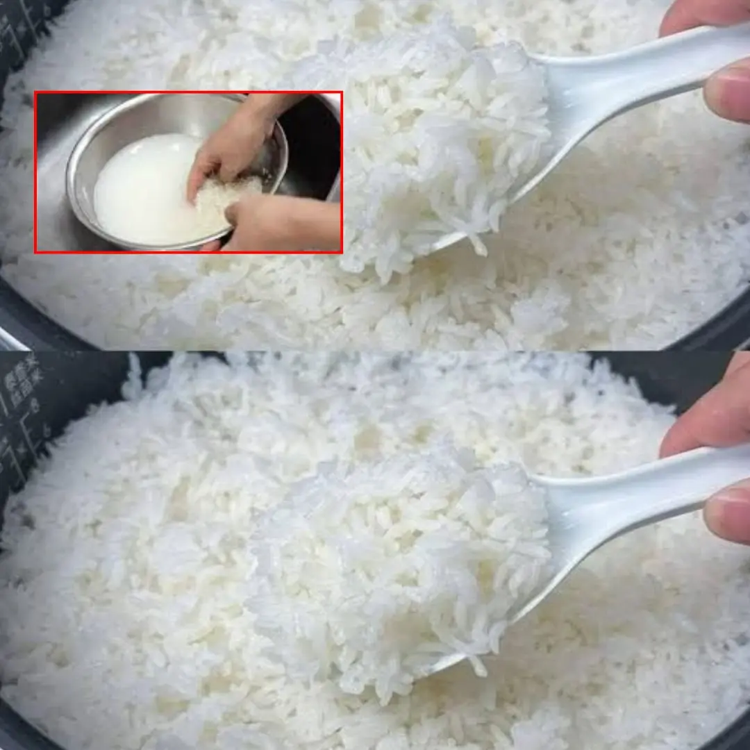 Adding only water when cooking rice is a big mistake. I will share with you the secret that hotels use