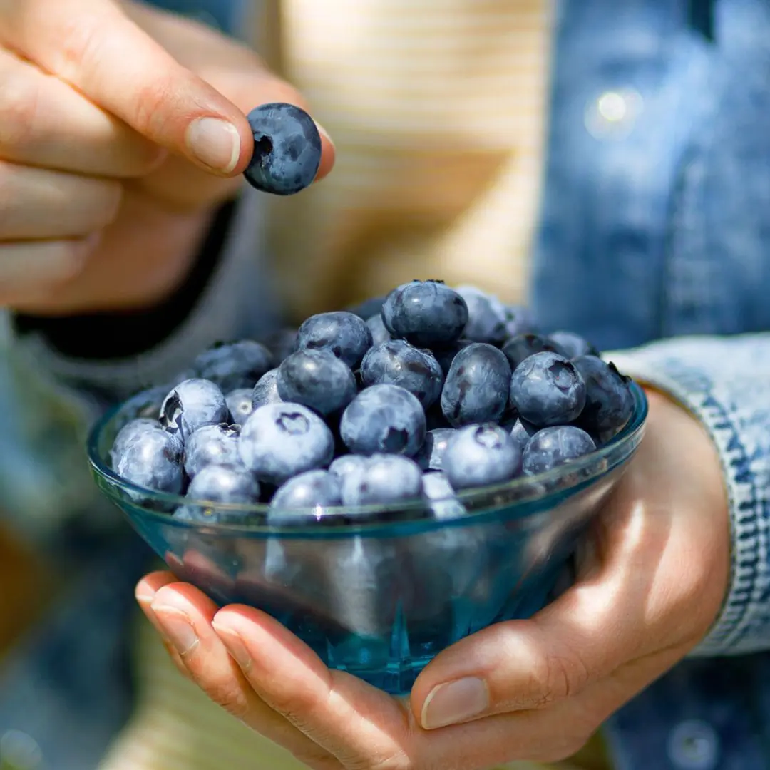 Here's What Eating Blueberries Every Day Does to Your Body, Says a Registered Dietitian