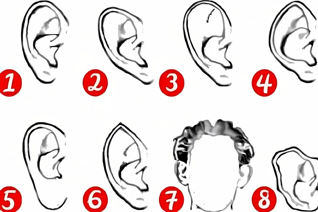 The Shape of Your Ears Can Reveal Your Personality and Fortune