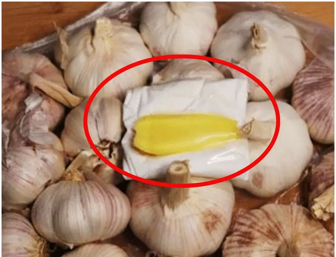 Fresh garlic all year round without spoiling thanks to these 3 simple preservation tips: Anyone can do it