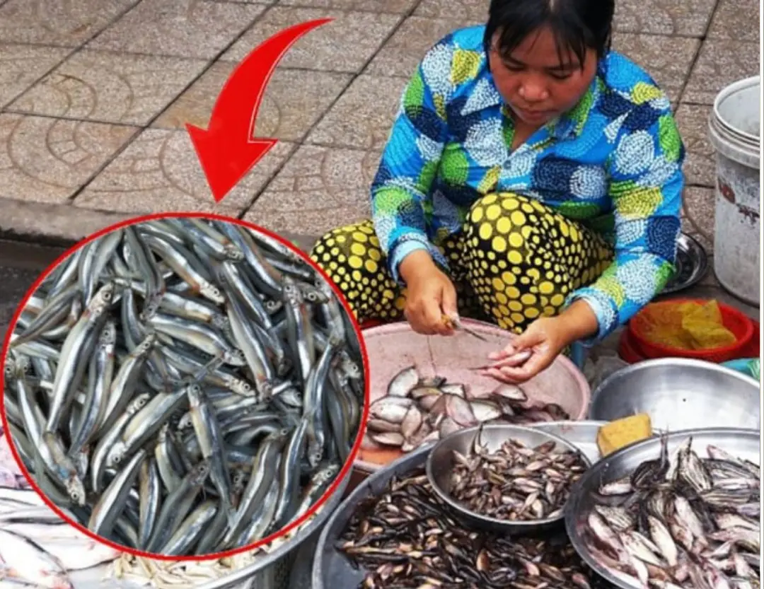 Going to the market, if you see these 7 types of fish