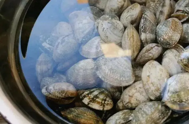 Washing Clams and Shellfish: Some Use Chili, Others Use Wine — All Wrong! A Seafood Vendor Taught Me This Truly Effective Trick