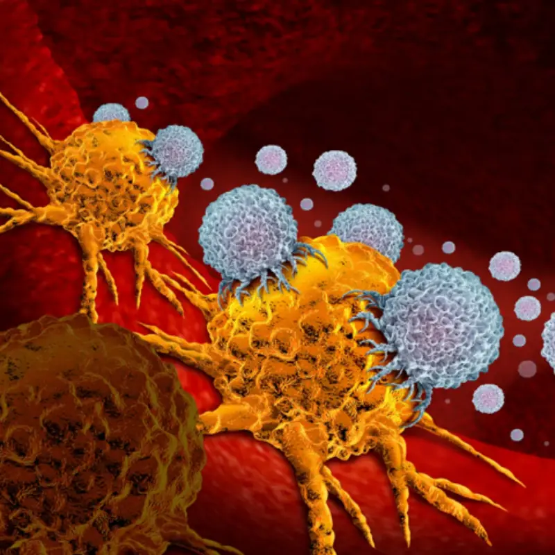 20 Cancer-Fighting Foods You Should Eat Regularly