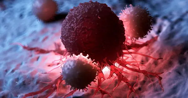 Can.cer Doesn’t Strike Randomly — It Specifically Targets These 3 High-Risk Groups