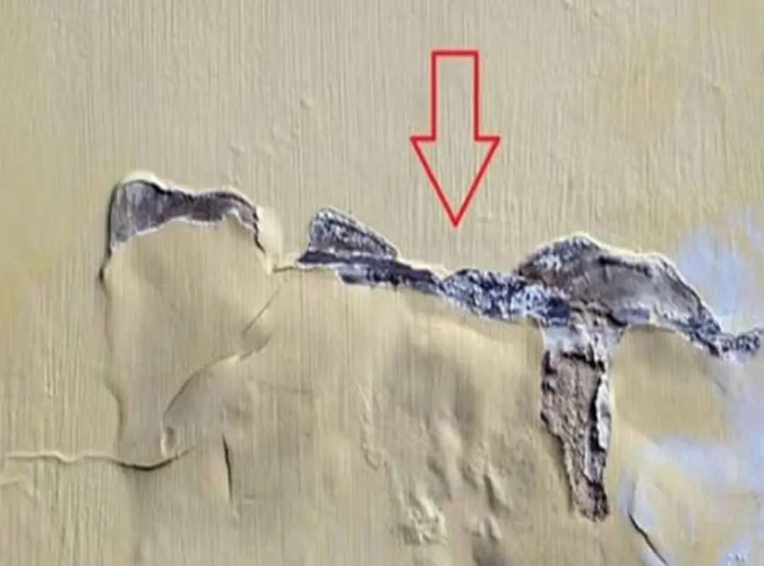 Tips to deal with moldy, peeling walls: Free, very simple, any house can do it