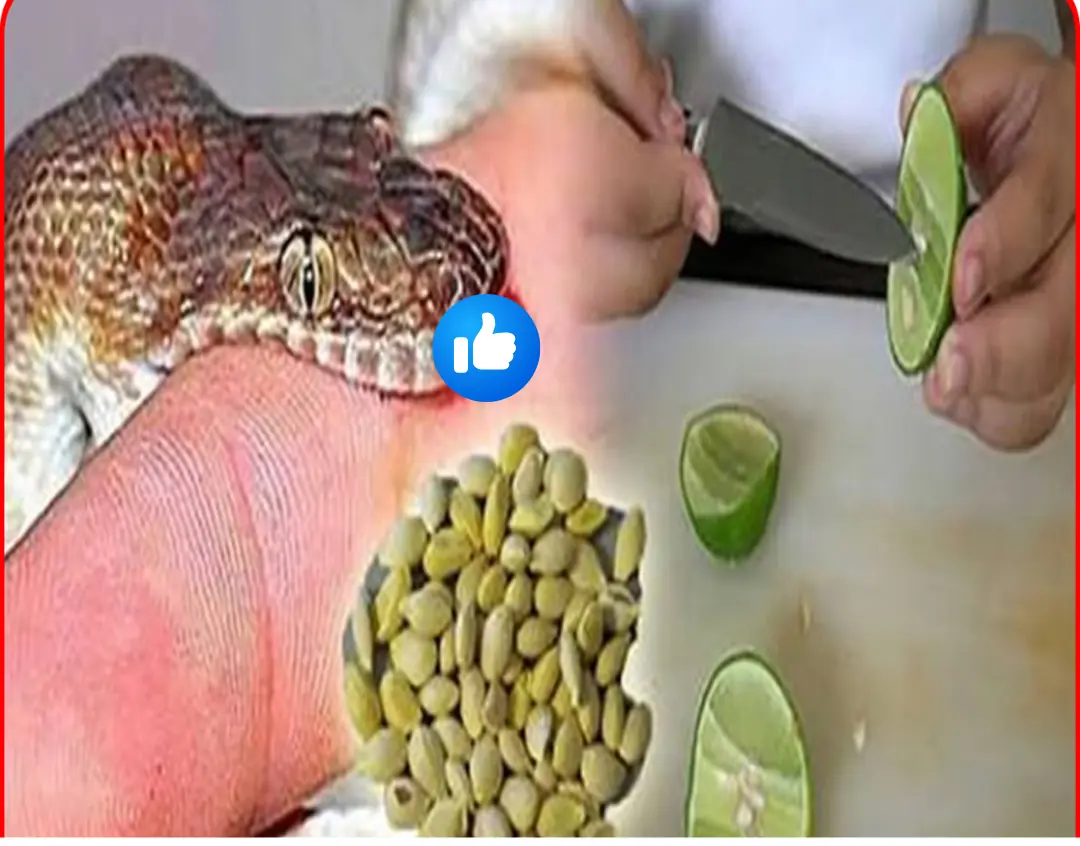 Save this valuable remedy to help absorb toxins and save lives
