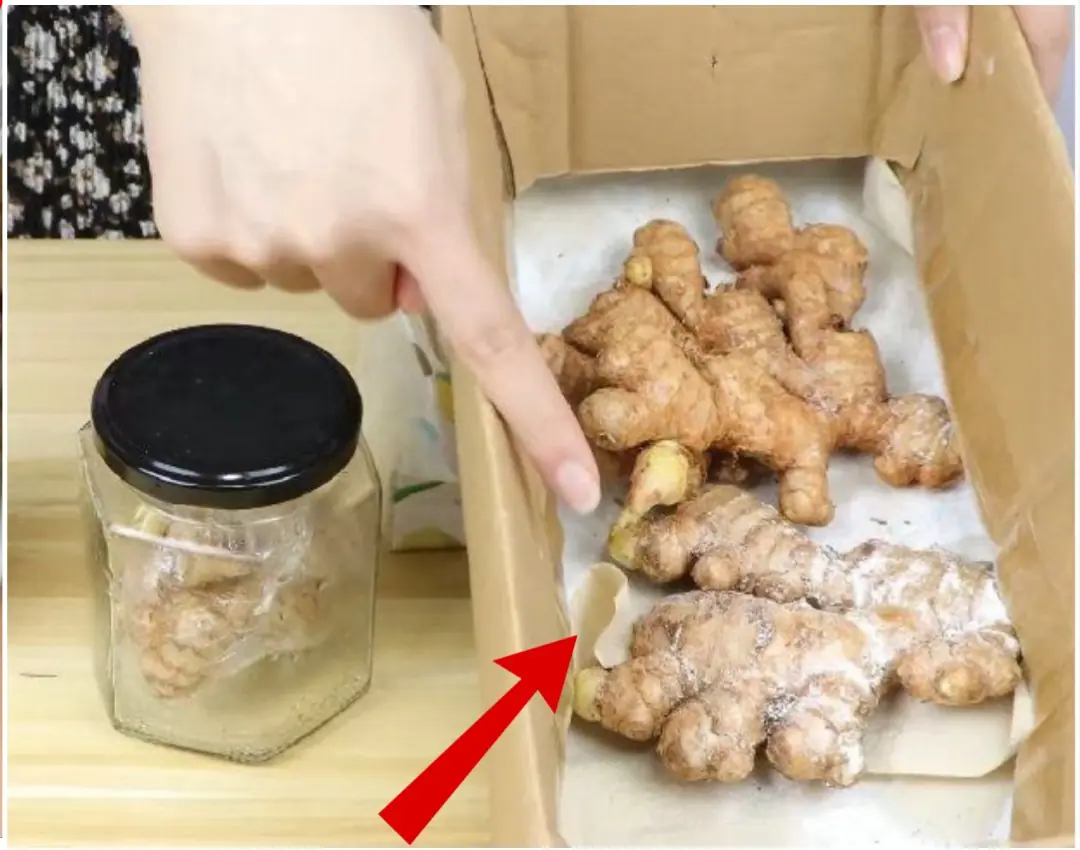 Ginger left for a long time will often shrink, rot, or sprout
