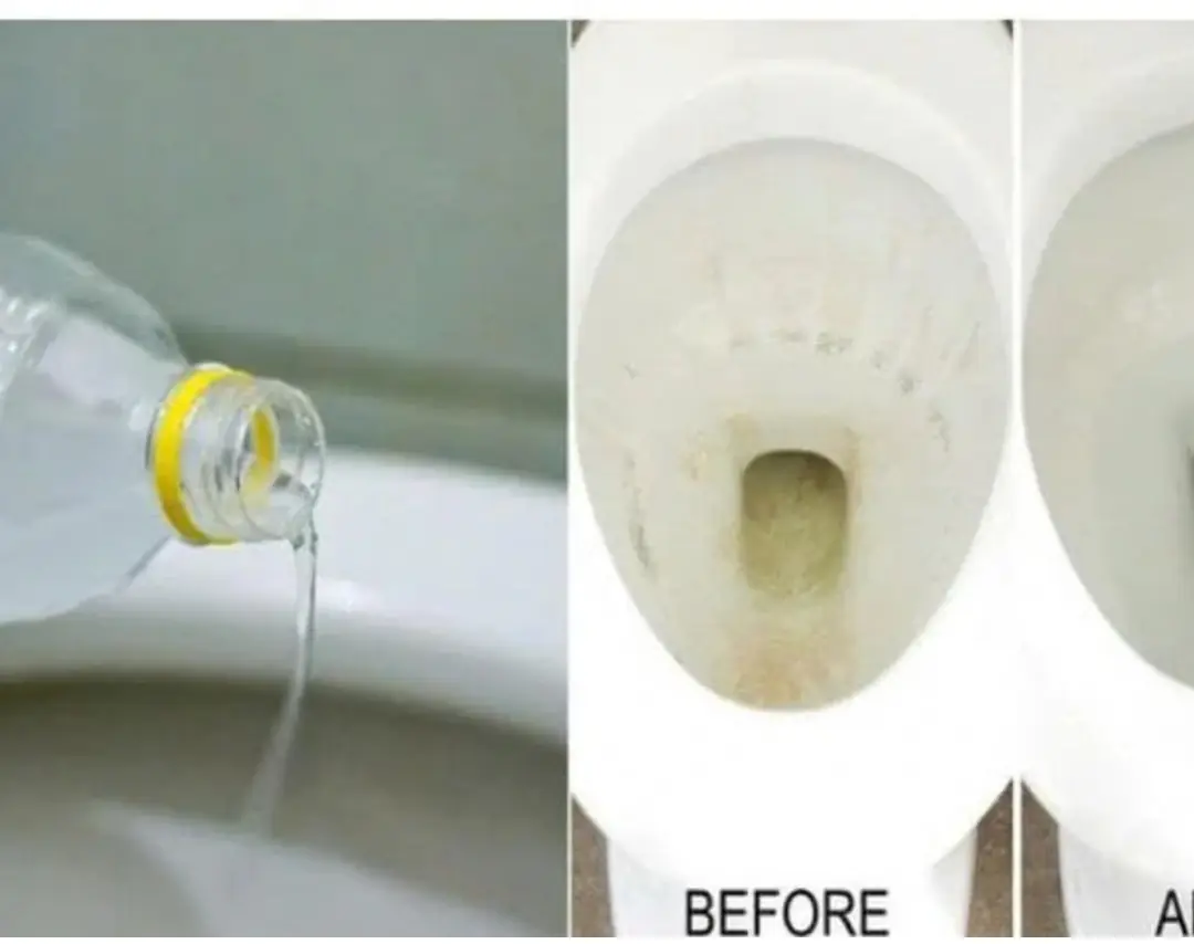 Toilet smells fishy: Pour this in and the smell will go away, free of charge