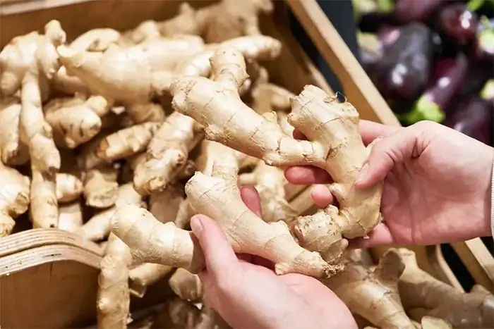 How to keep ginger fresh for a long time