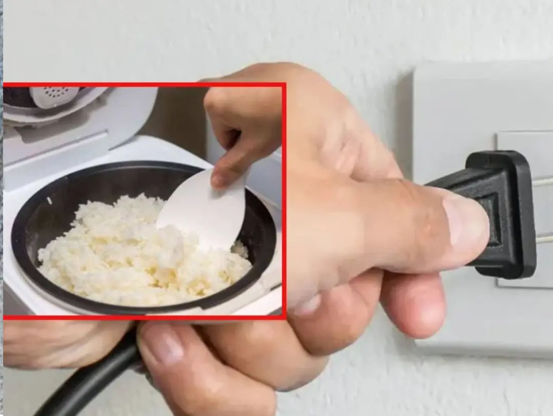 Do You Need to Unplug the Rice Cooker After the Rice Is Cooked: The Surprising Answer
