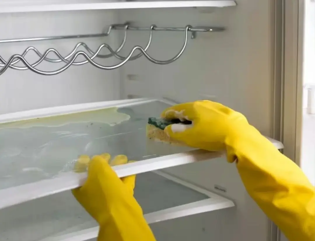30-minute tip to keep your refrigerator clean and odorless with cheap and safe ingredients