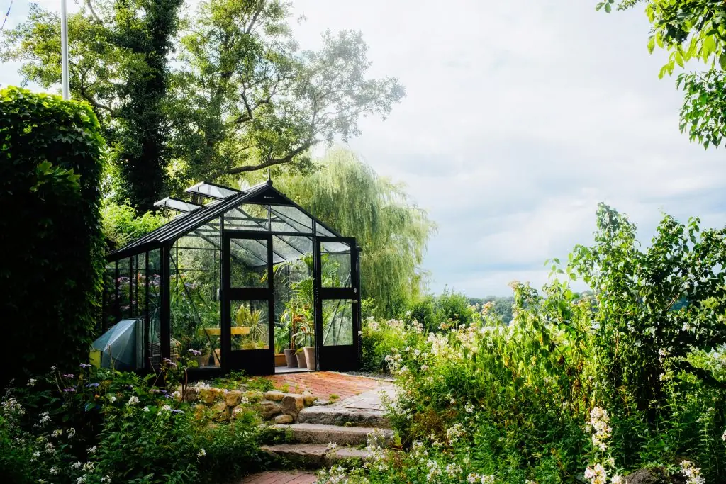 8 inspiring backyard greenhouse ideas for every gardener