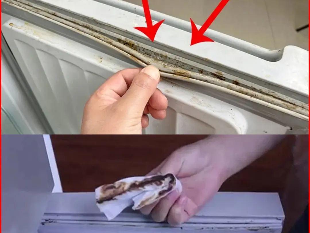 The refrigerator gasket is moldy, use this to clean it, it will be clean in just 5 minutes