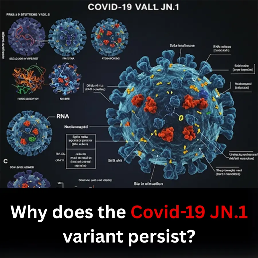 Why does the Covid-19 JN.1 variant persist?