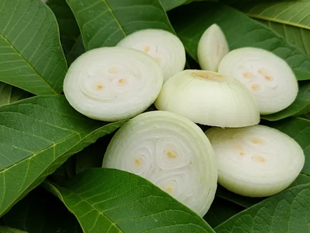 Discovering a type of wild vegetable that is the 'nemesis of can:cer'