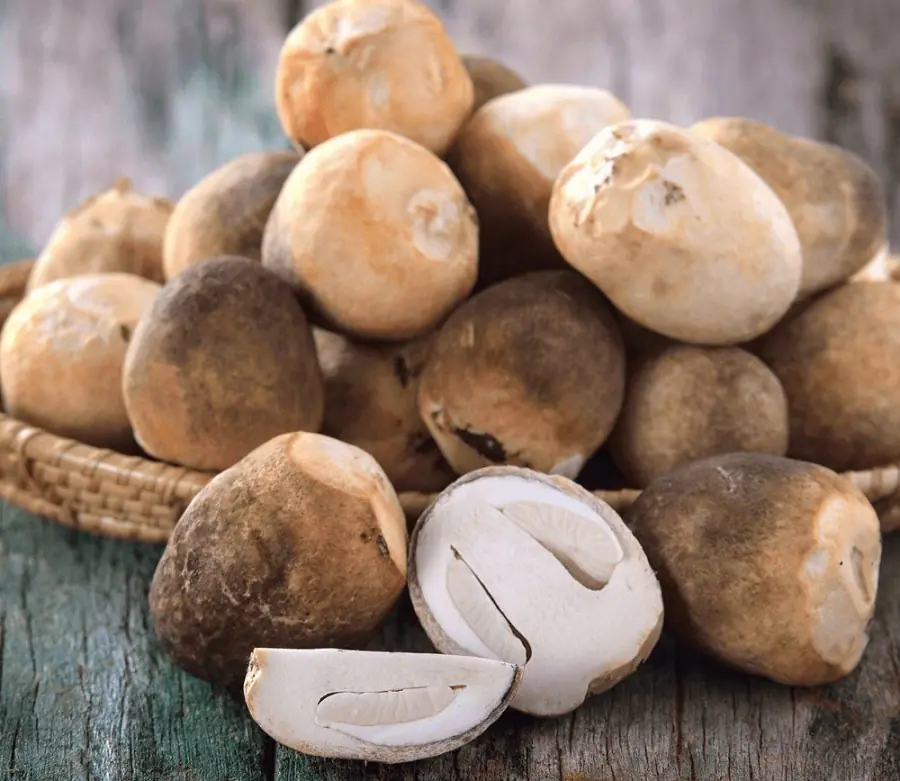 Warning: 4 wrong ways to prepare straw mushrooms that are harmful to your health