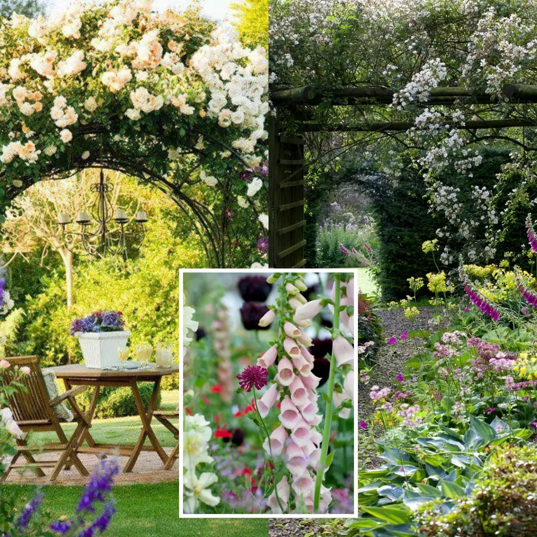 How to plan a cottage garden – from choosing a layout to picking plants