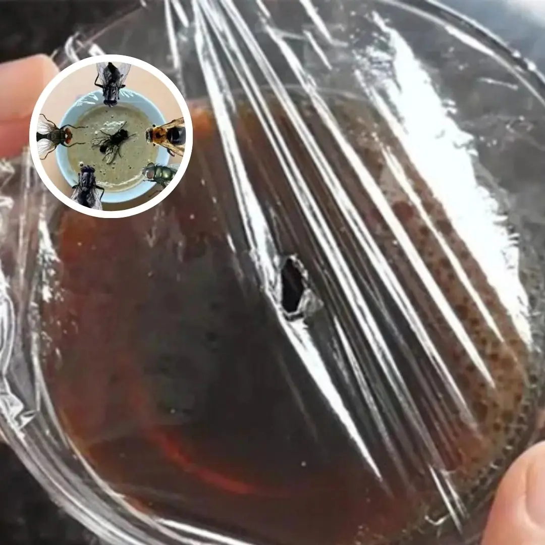 Don't let flies bother you – try these 5 super simple fly-repellent tips!