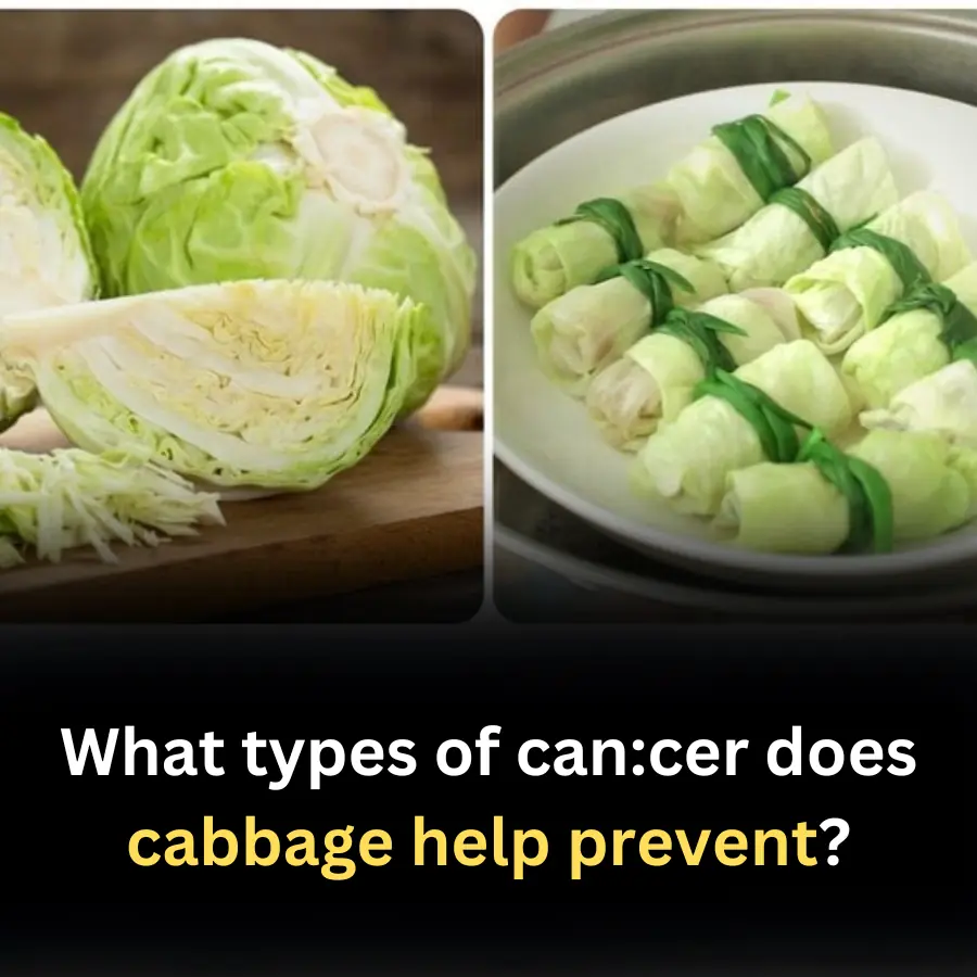 What types of cancer does cabbage help prevent?