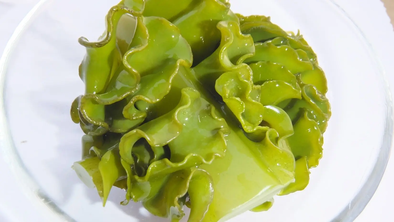 Fucoidan active ingredient from Japanese Mekabu brown algae supports patient health