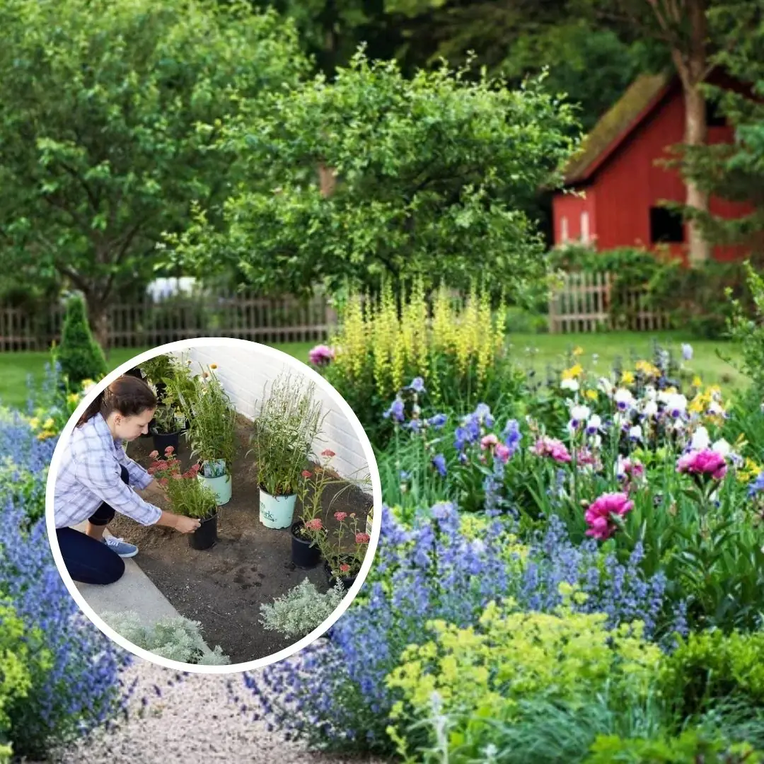 How to Make a Flower Bed in 5 Simple Steps