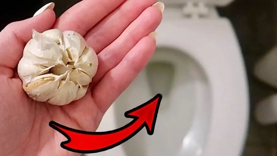 Benefits of putting garlic in the toilet