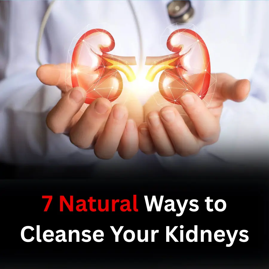 7 Natural Ways to Cleanse Your Kidneys