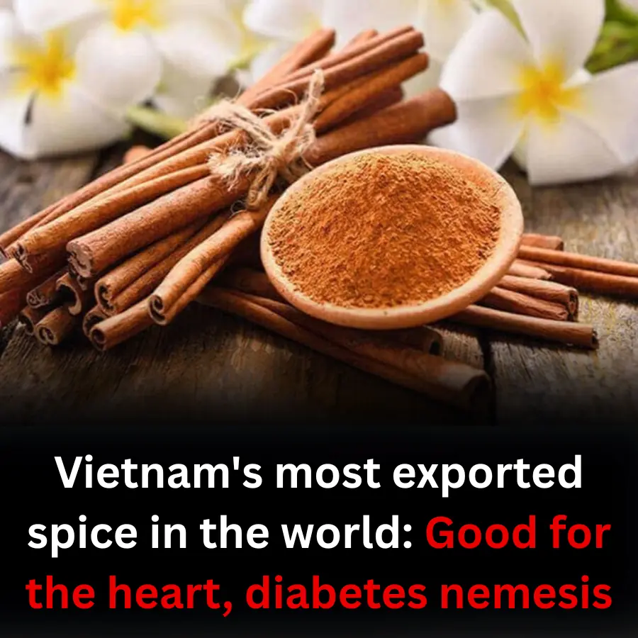 Vietnam's most exported spice in the world: Good for the heart, diabetes nemesis