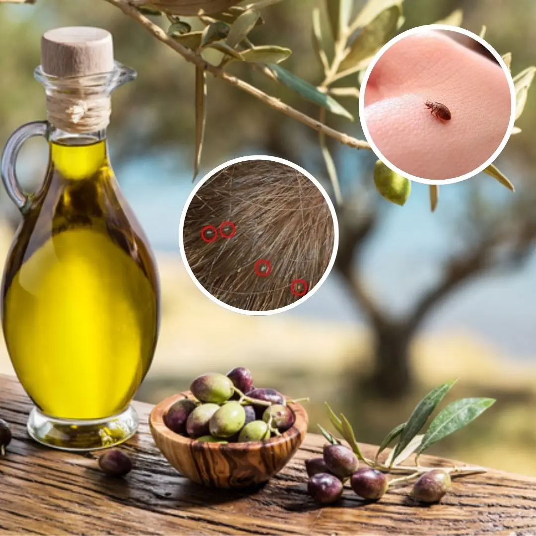Great tips to help hair clean of lice, healthier every day
