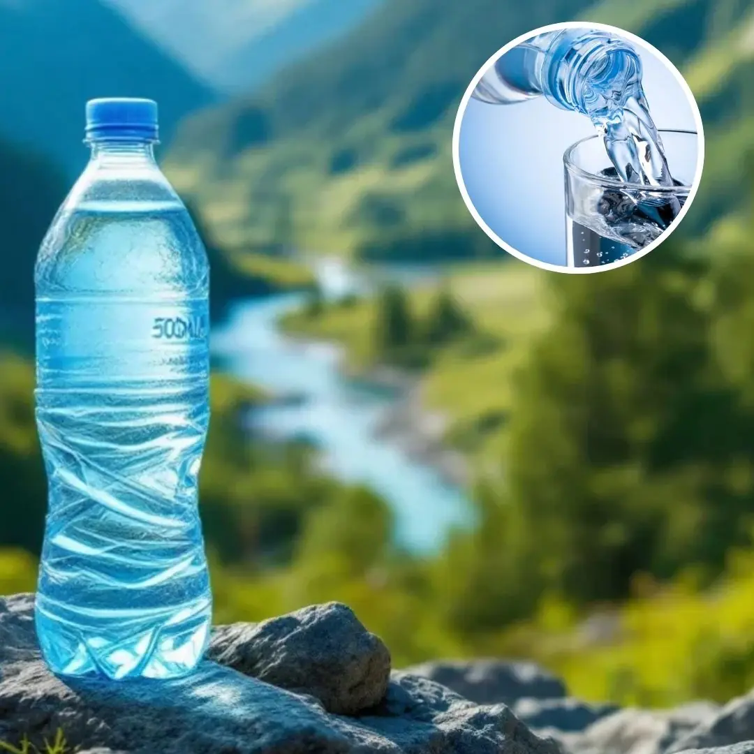 Spring Water Vs Mineral Water: What's The Difference?