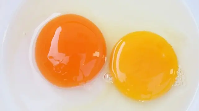 Does a darker egg yolk mean more nutrients?
