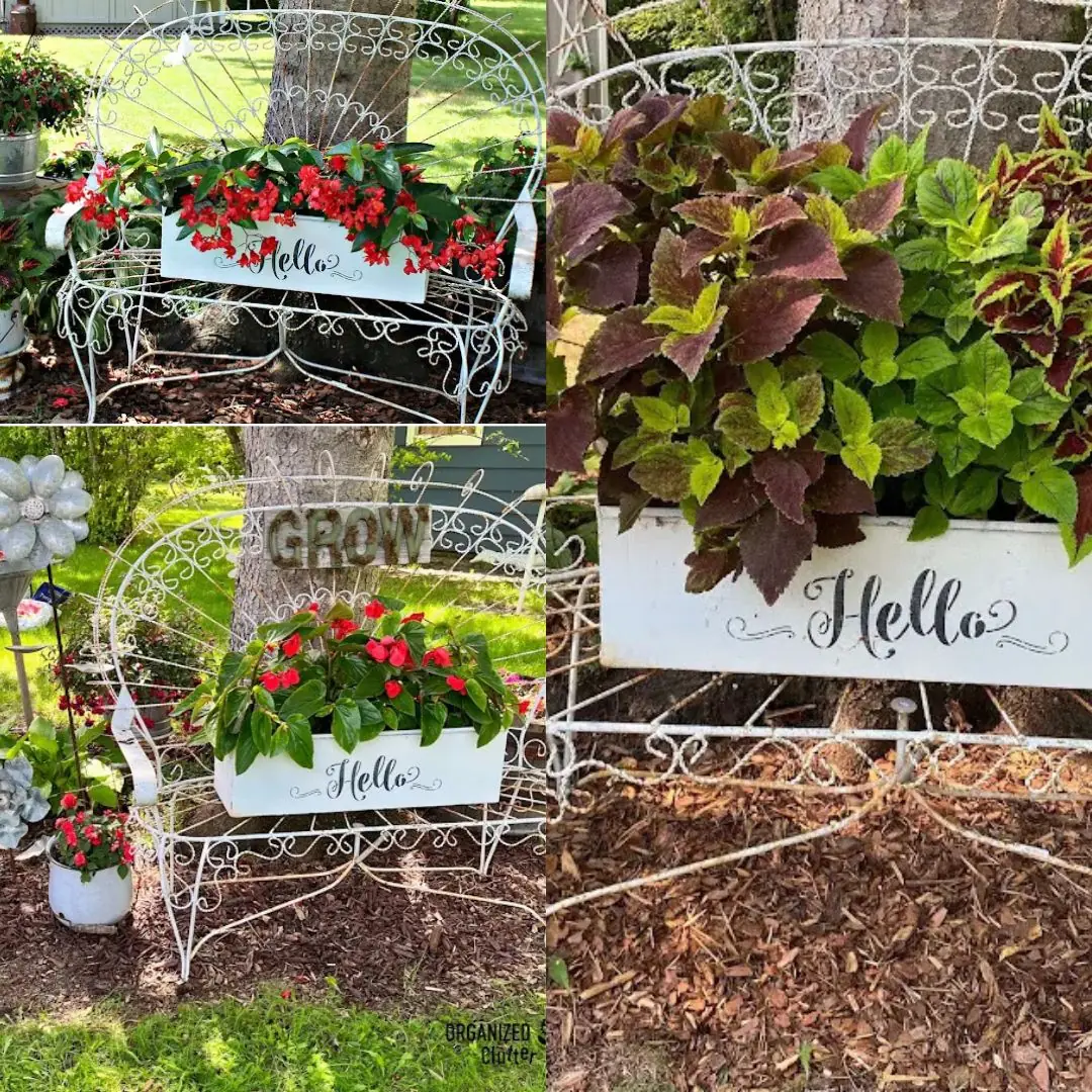 Current & Past Junk Garden Plants & Decor Under A Spruce Tree