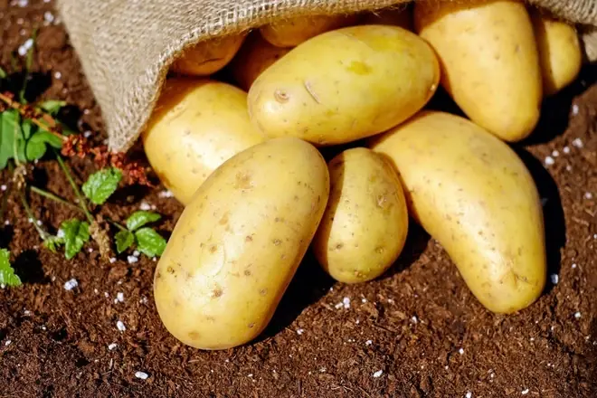 Who should not eat potatoes?