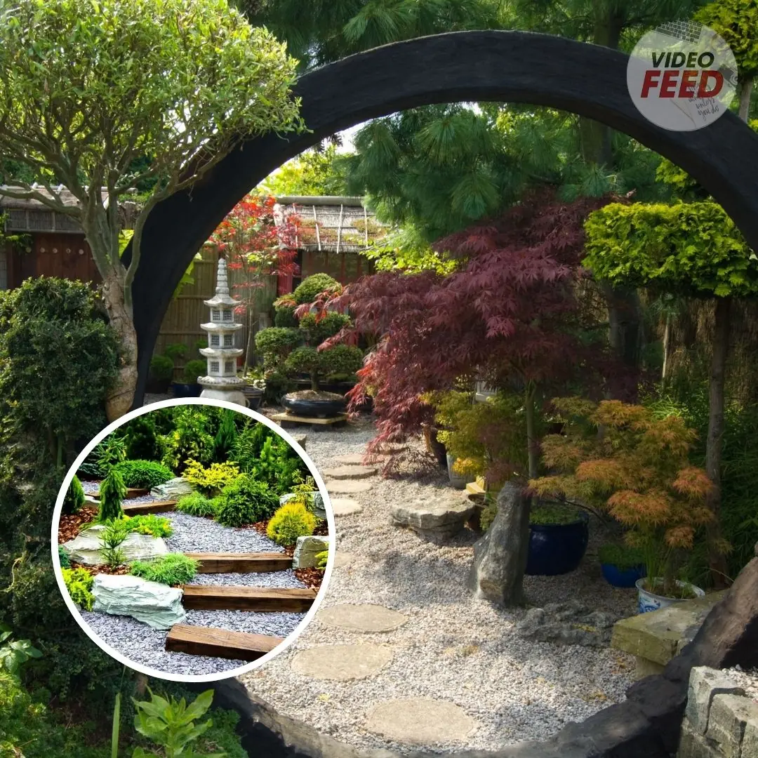 Japanese garden ideas: 14 ways to create a tranquil space with landscaping and plants