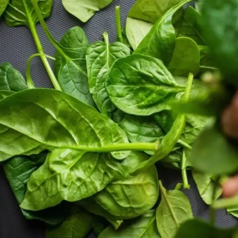 A Dirt-Cheap Vegetable Many Have Eaten Without Knowing — Great for Cooling the Body, Boosting Blood Health, and Beautifying the Skin