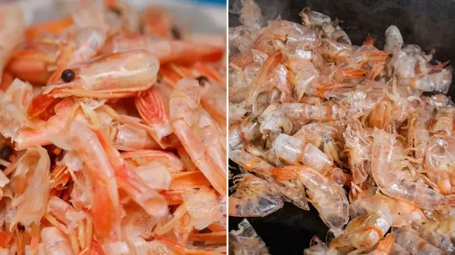 Are You Chewing Shrimp Shells for Calcium? The Truth May Surprise You