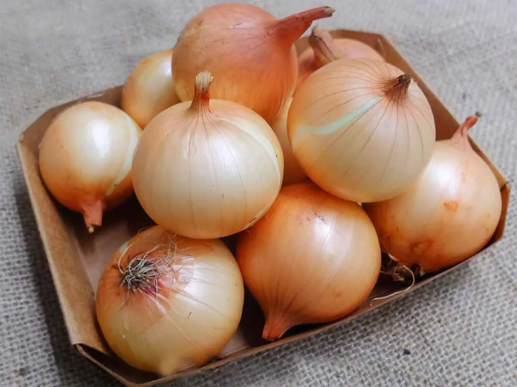 How to properly preserve onions
