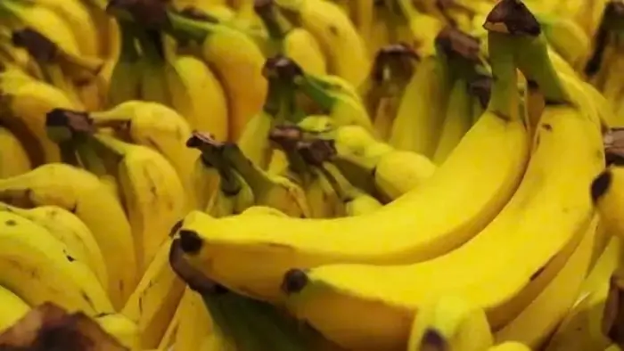 Knowing this early, you will definitely never throw away banana peels