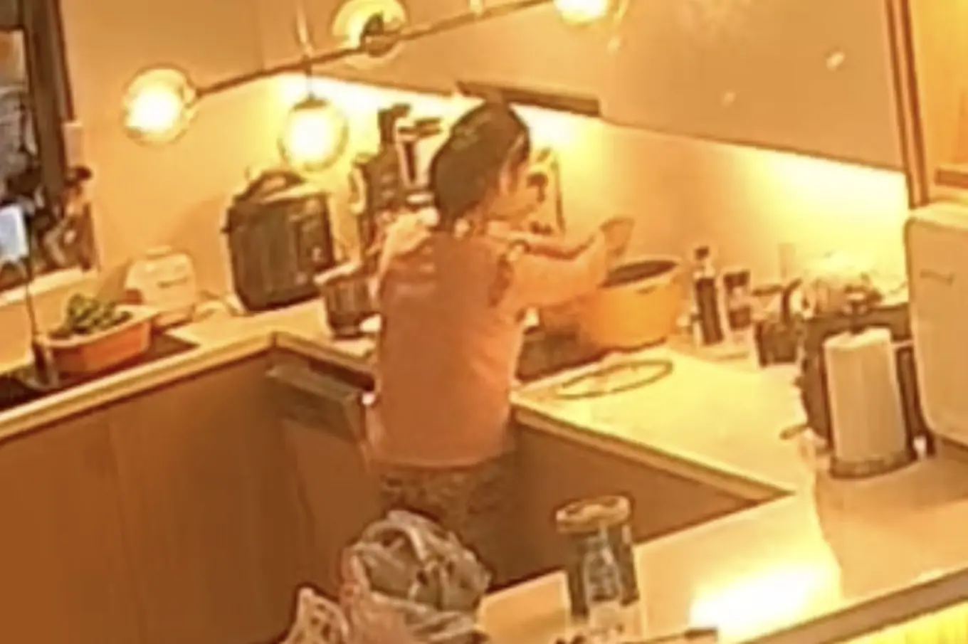 The maid squeezed water from the kitchen rag into the homeowner's drinking water pot